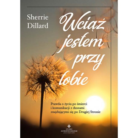 Wciąż jestem przy tobie Sherrie Dillard motyleksiazkowe.pl
