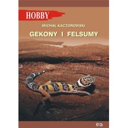 GEKONY I FELSUMY Michał Kaczorowski motyleksiazkowe.pl