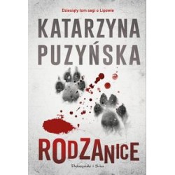 Rozdarcie Katarzyna Puzyńska motyleksiazkowe.pl