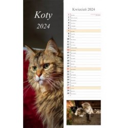 Kalendarz Koty 2024 /pasek motyleksiazkowe.pl