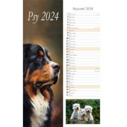 Kalendarz Psy 2024 /pasek motyleksiazkowe.pl