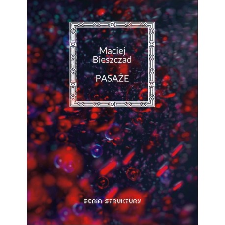 Pasaże Maciej Bieszczad motyleksiazkowe.pl