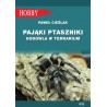 Pająki ptaszniki Hodowla w terrarium