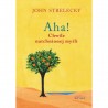 Aha! Chwile natchnionej myśli