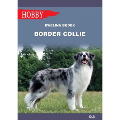 Border collie Ewelina Budek motyleksiazkowe.pl