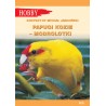 Papugi kozie - modrolotki