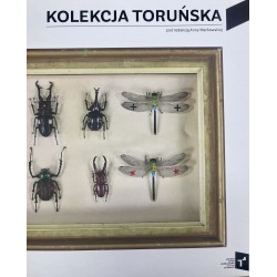 Kolekcja Toruńska Zbiory Centrum Sztuki Współczesnej Znaki Czasu w Toruniu motyleksiazkowe.pl