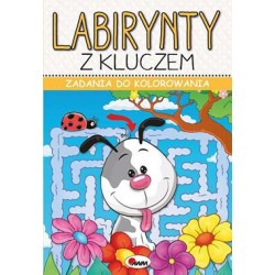 Labirynty z kluczem Zadania do kolorowania motyleksiazkowe.pl