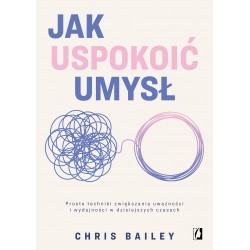 Jak uspokoić umysł Chris Bailey motyleksiazkowe.pl