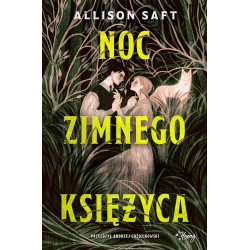 Noc Zimnego Księżyca  Allison Saft motyleksiazkowe.pl