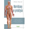 Meridiany w praktyce