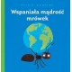 Wspaniała mądrość mrówek Philip Bunting motyleksiazkowe.pl