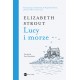 Lucy i morze Elizabeth Strout motyleksiazkowe.pl