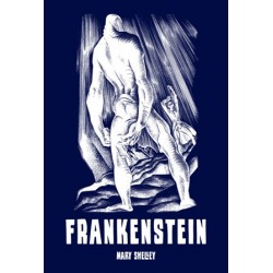 Frankenstein Mary Shelly motyleksiazkowe.pl