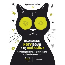 Dlaczego koty boją się ogórków ? motyleksiazkowe.pl