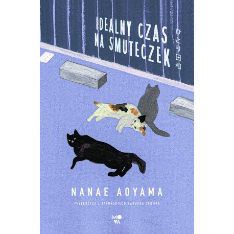 Idealny czas na smuteczek Nanae Aoyama motyleksiazkowe.pl