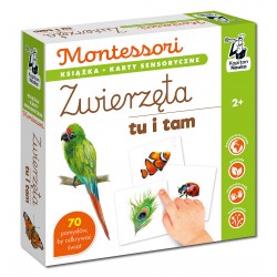 Montessori Zwierzęta tu i tam Książka + karty sensoryczne motyleksiazkowe.pl