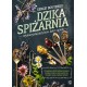 Dzika spiżarnia