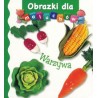 Warzywa. Obrazki dla maluchów