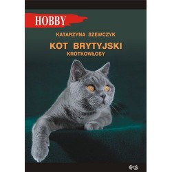 Kot brytyjski krótkowłosy Katarzyna Szewczyk motyleksiazkowe.pl