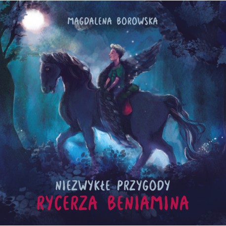 Niezwykłe przygody rycerza Beniamina Magdalena Borowska motyleksiazkowe.pl