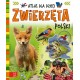 Zwierzęta Polski Atlas dla dzieci motyleksiazkowe.pl