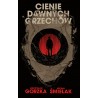 Cienie dawnych grzechów
