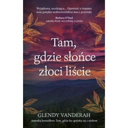 Tam gdzie słońce złoci liście Glendy Vanderah motyleksiazkowe.pl