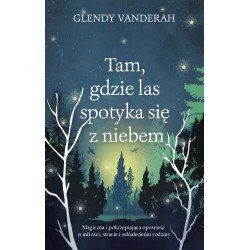 Tam gdzie las spotyka się z niebem Glendy Vanderah motyleksiazkowe.pl