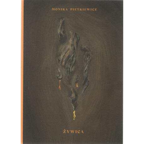 Żywica Monika Pietkiewicz motyleksiazkowe.pl
