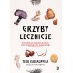 Grzyby lecznicze Tero Isokauppila motyleksiazkowe.pl