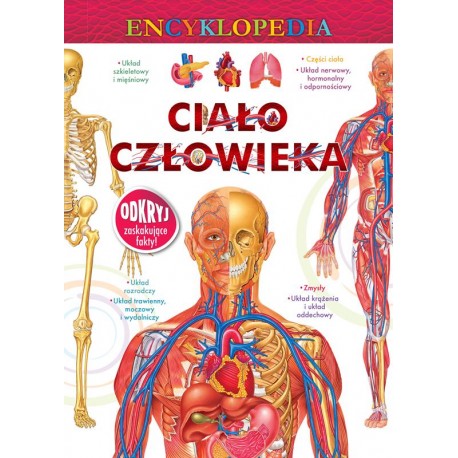 ENCYKLOPEDIA CIAŁO CZŁOWIEKA motyleksiazkowe.pl