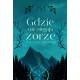 Gdzie nie sięgają zorze Paulina Piontek motyleksiazkowe.pl