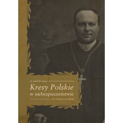 Kresy Polskie w niebezpieczeństwie. Pod wozem i na wozie Józef Borodzisz motyleksiazkowe.pl