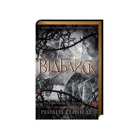 Відблиск (кн 2) /Vidblysk (kn 2) /Refleksja Księga 2 Kennedi Reiven motyleksiazkowe.pl