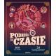 Podróżuj w czasie motyleksiazkowe.pl