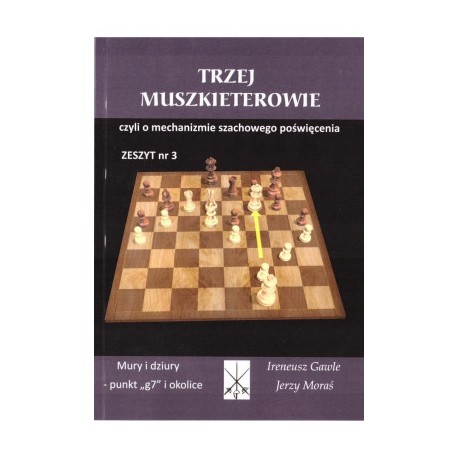 TRZEJ MUSZKIETEROWIE MURY I DZIURY PUNKT G7