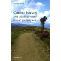 Camino inaczej. Czyli dlaczego warto zostać pielgrzymem
