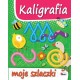 Kaligrafia Moje szlaczki motyleksiazkowe.pl