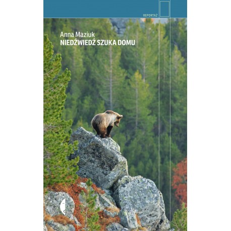 Niedźwiedź szuka domu Anna Maziuk motyleksiazkowe.pl
