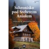 Schronisko pod Srebrnym Aniołem
