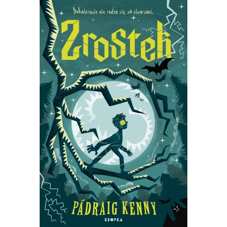 Zrostek Padraig Kenny motyleksiazkowe.pl