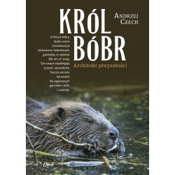 Król Bóbr Andrzej Czech motyleksiazkowe.pl