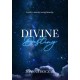 Divine Destiny Joanna Boczar motyleksiazkowe.pl