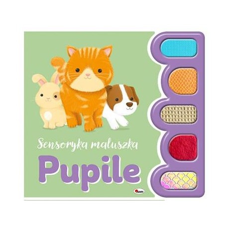 Sensoryka maluszka. Pupile motyleksiazkowe.pl