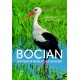 Bocian Biografia nieautoryzowana motyleksiazkowe.pl