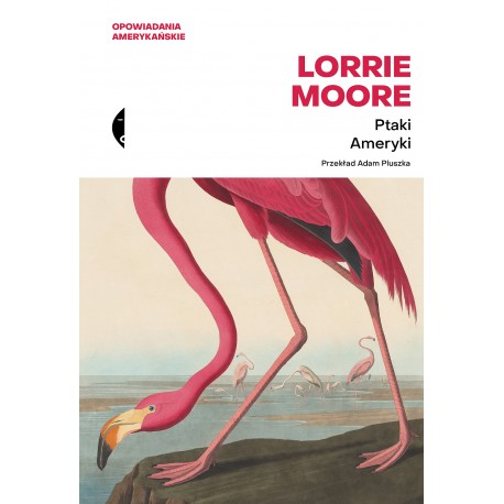 Ptaki Ameryki Lorrie Moore motyleksiazkowe.pl