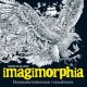 Imagimorphia Ekstremalne kolorowanie i wyszukiwanie Kerby Rosanes motyleksiązkowe.pl