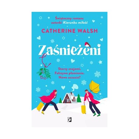 Zaśnieżeni Catherine Walsh motyleksiazkowe.pl