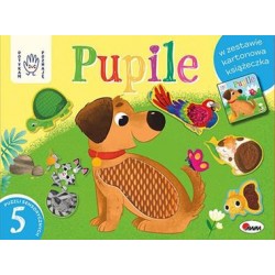 Dotykam Poznaję Pupile box z puzzlami sensorycznymi motyleksiazkowe.pl
